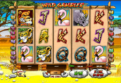 Wild Gambler Brings Africa To Your PC Slots – Get 5 Free
