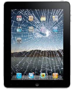 Would You Rather Suffer A Broken Nose Or A Broken IPad?